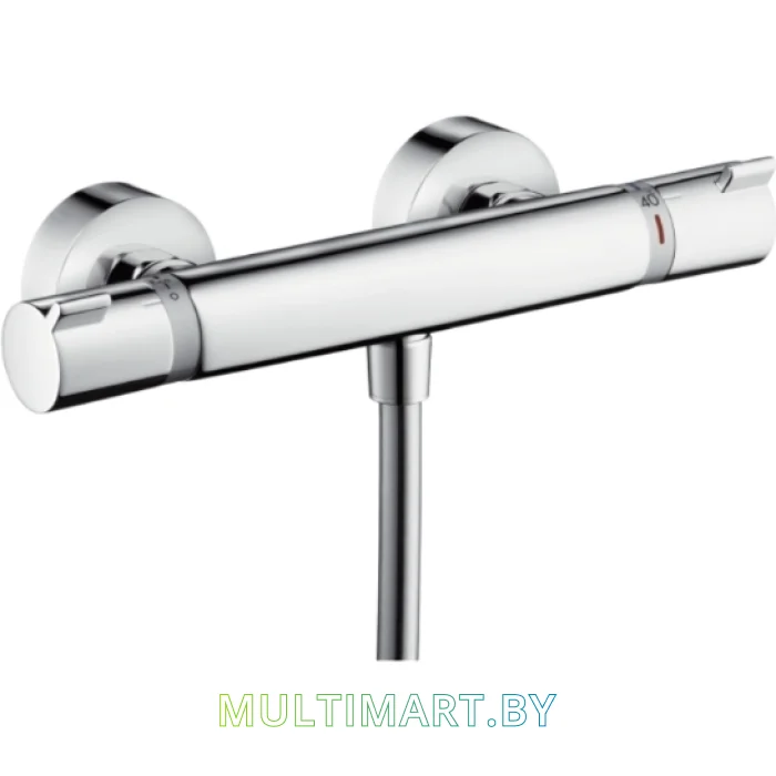 Смеситель Hansgrohe Ecostat 13116000